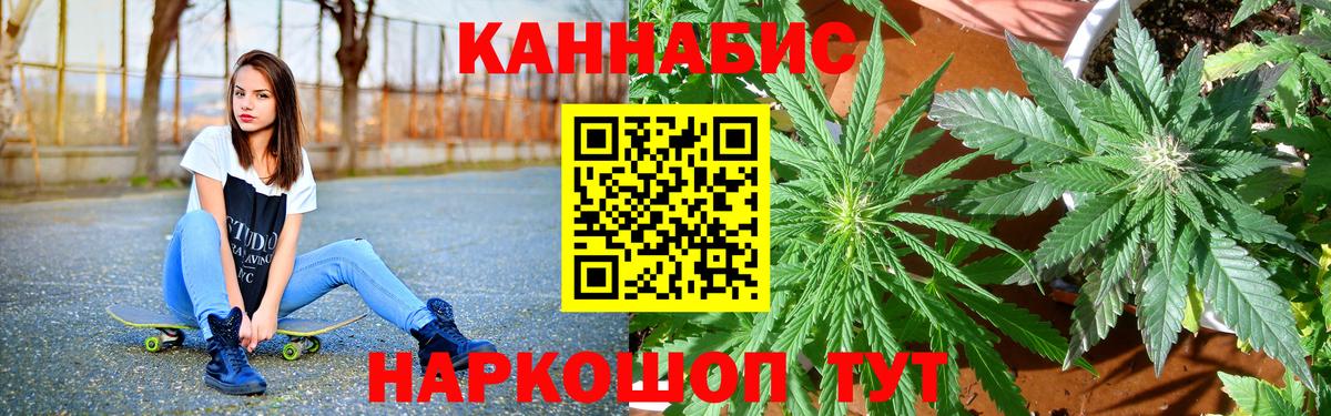 Канабис гибрид Орёл